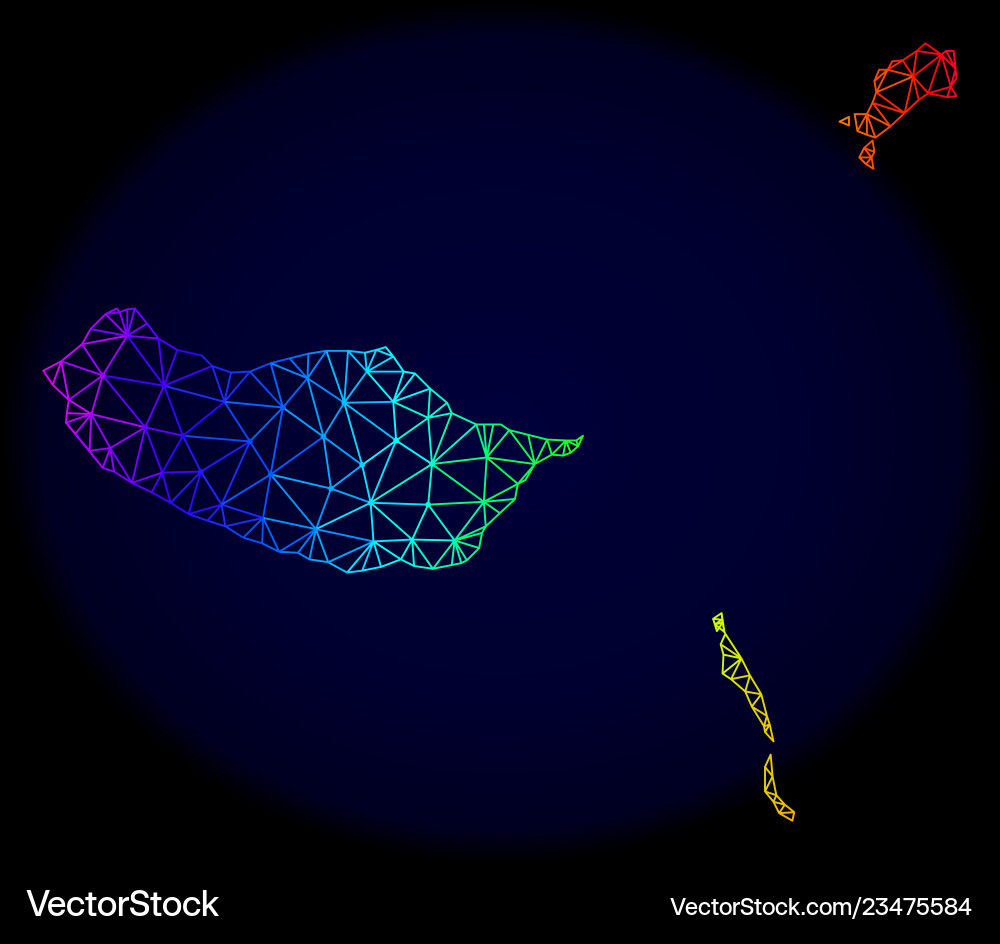 Polygonal network spectrum mesh map Polygonal network spectrum mesh map Vector Image