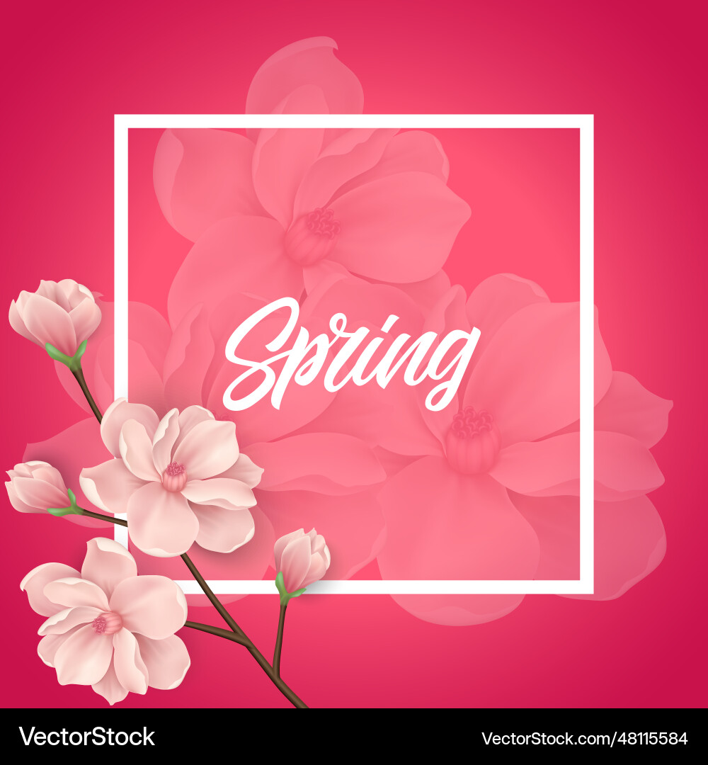 Spring lettering in frame and twig Vector Image