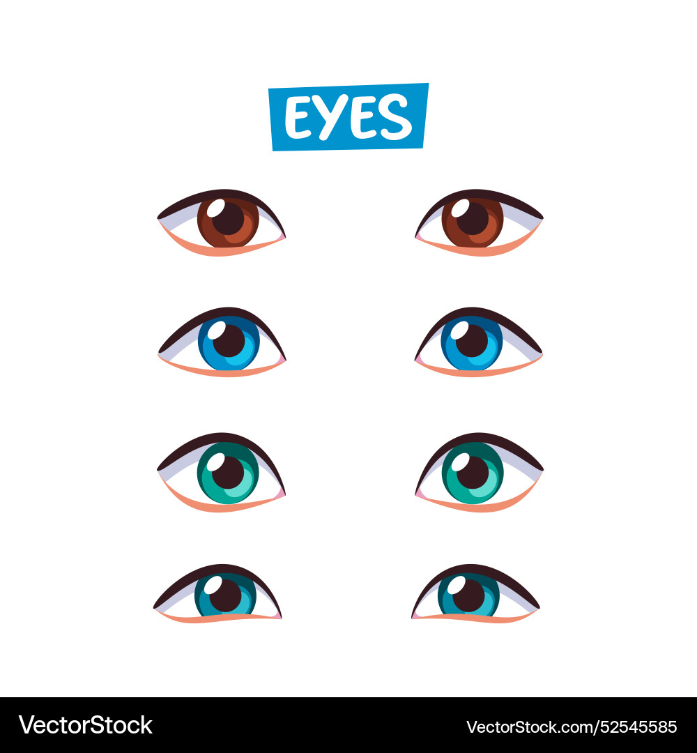 Set of cartoon eyes with brown blue and green Set of cartoon eyes with brown blue and green vector image