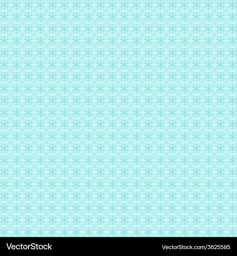 Winter Snowflake Pattern vector image