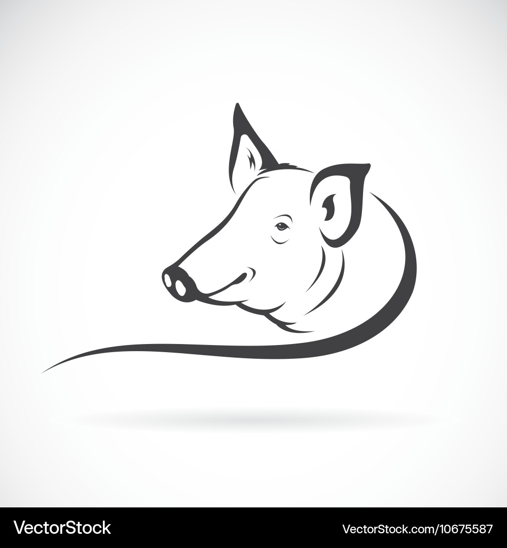 Cute Pig Icon vector image