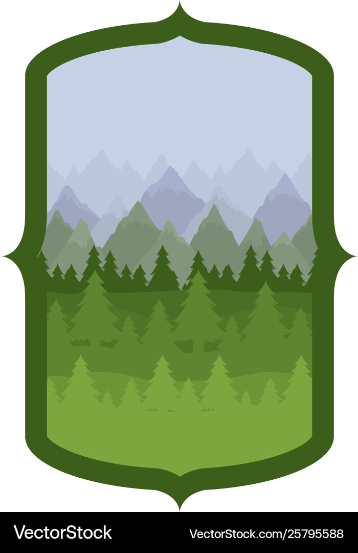 Isolated pine trees inside frame design Vector Image