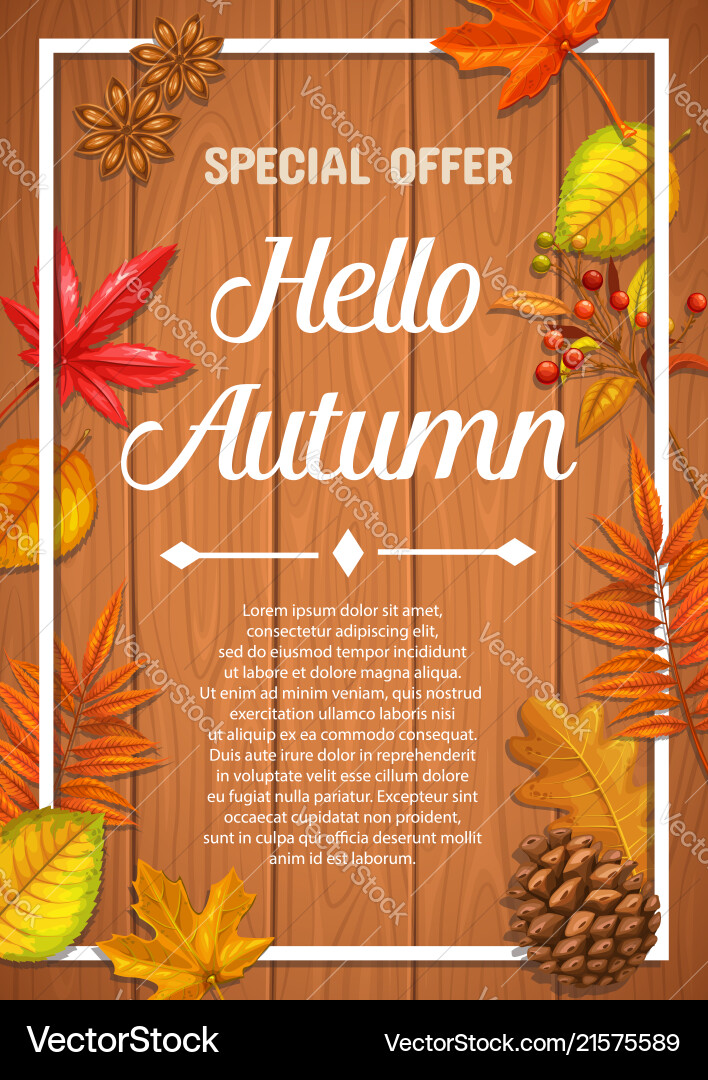 Seasonal autumn banner or poster Seasonal autumn banner or poster vector image