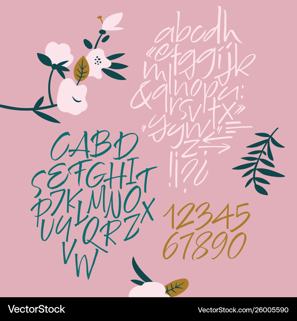 Handwritten font script latin calligraphic set Vector Image