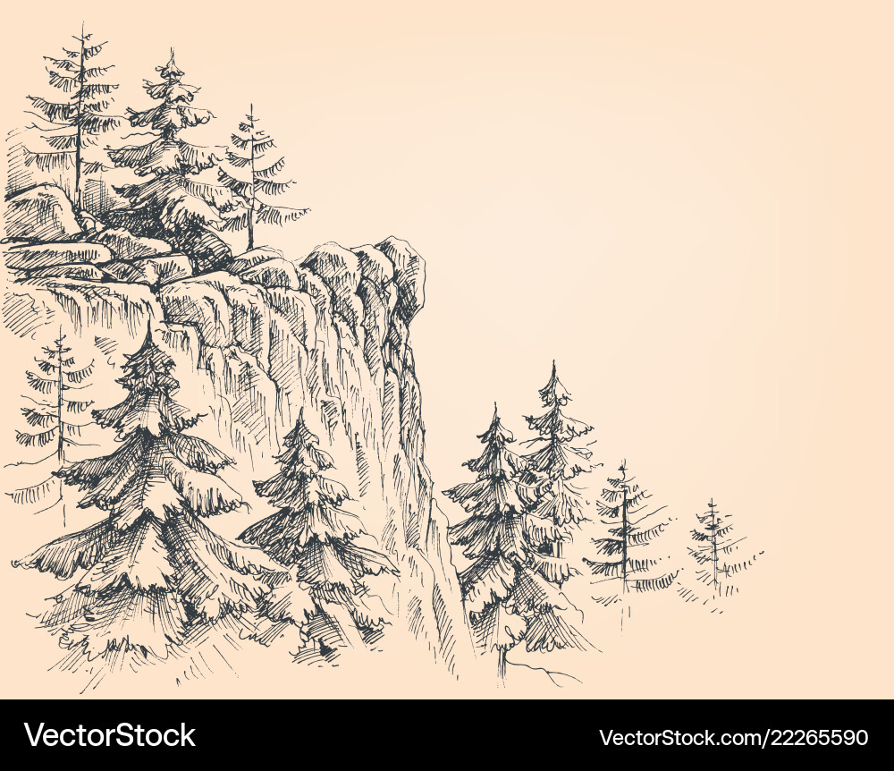 Mountain Pine Forest Sketch Royalty Free Vector Image