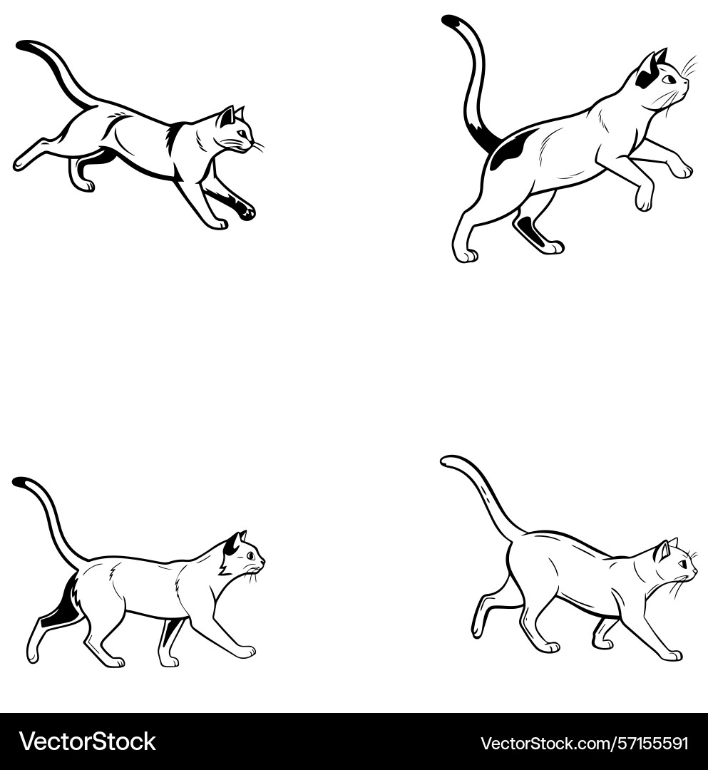 Running cat pose vector image
