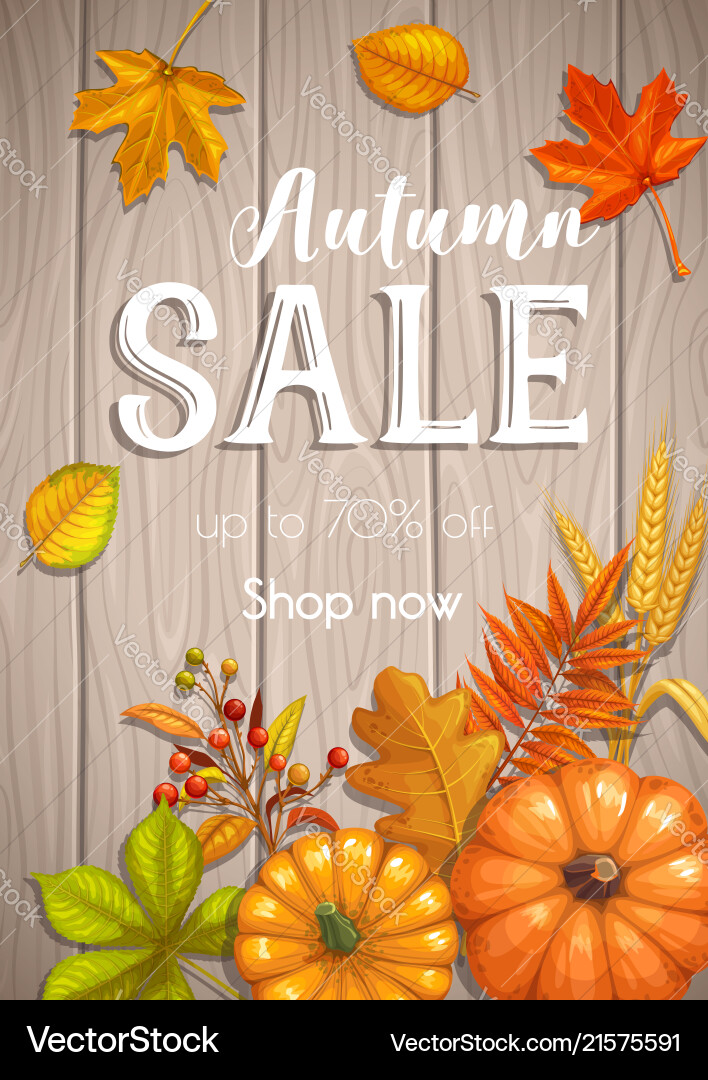 Seasonal autumn banner or poster Seasonal autumn banner or poster vector image