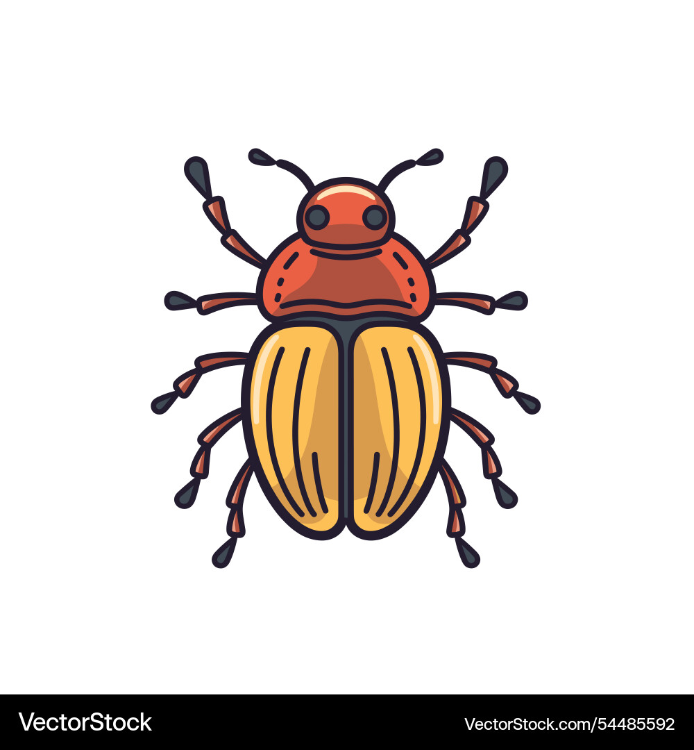 Bold patterns on a colorful beetle Vector Image