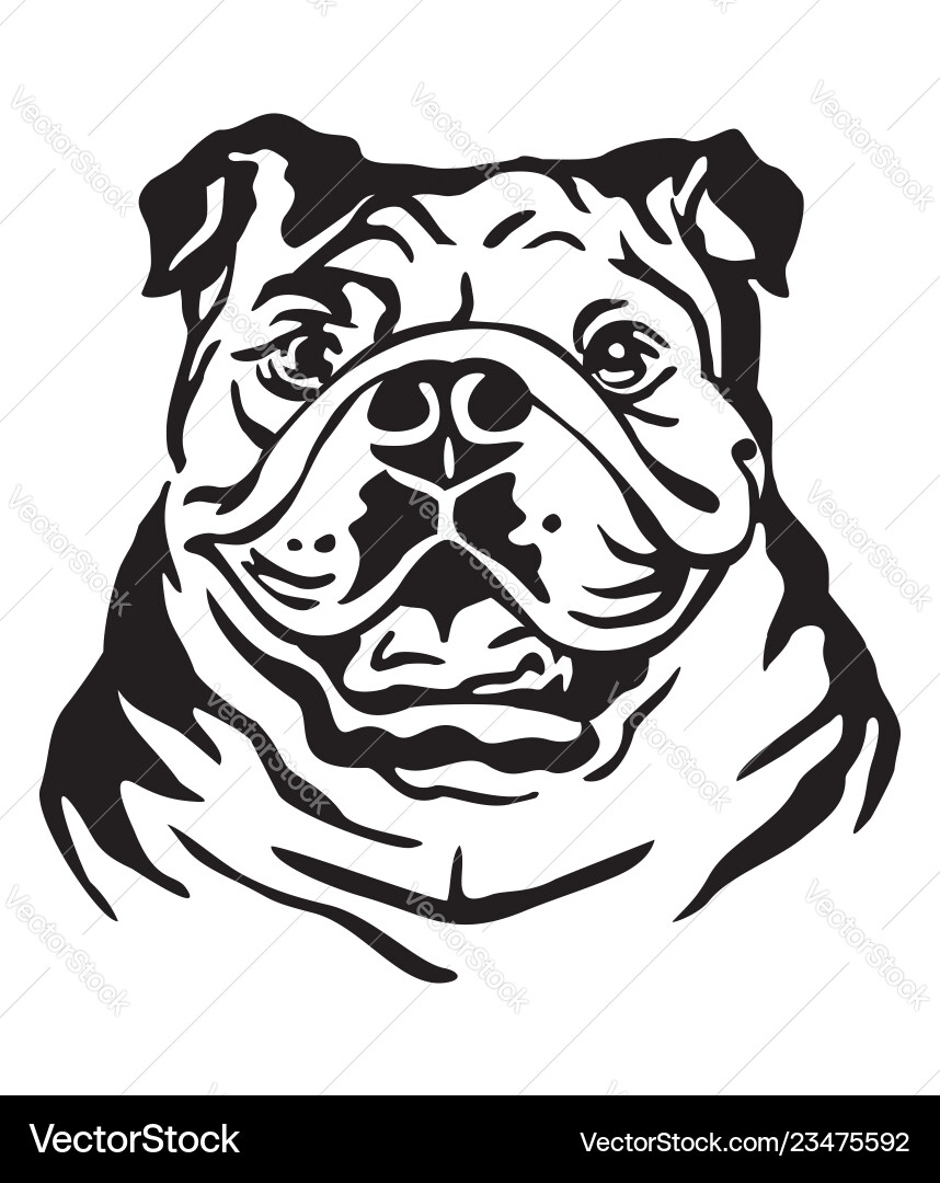 Elegant Bulldog Portrait Vector Image