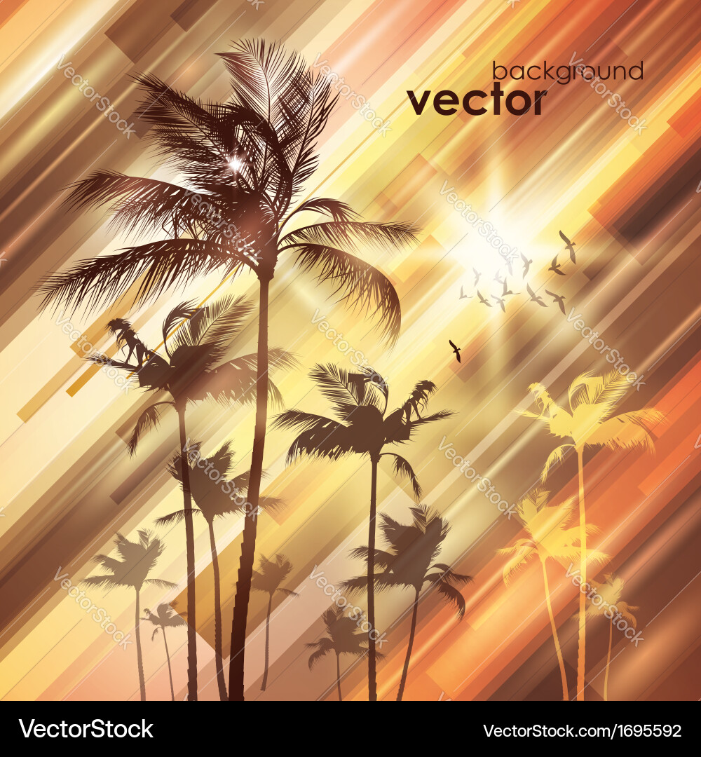 Palm trees at sunset Royalty Free Vector Image