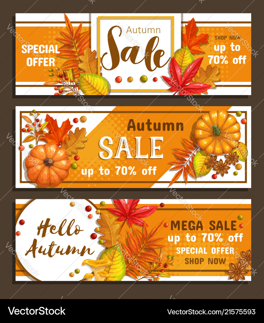 Seasonal autumn sale banners Seasonal autumn sale banners vector image