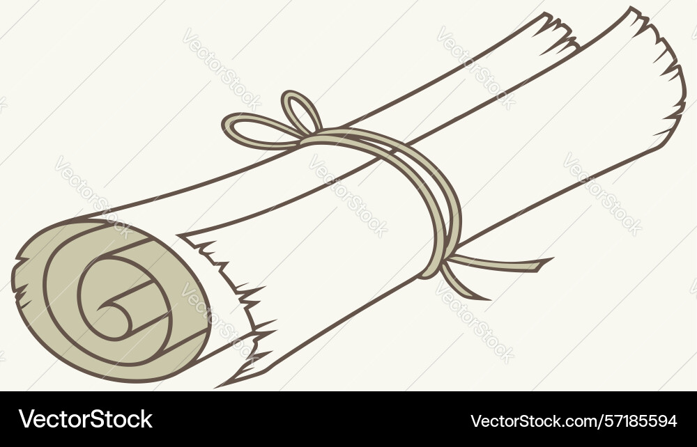 Rolled paper scroll tied with string old document vector image