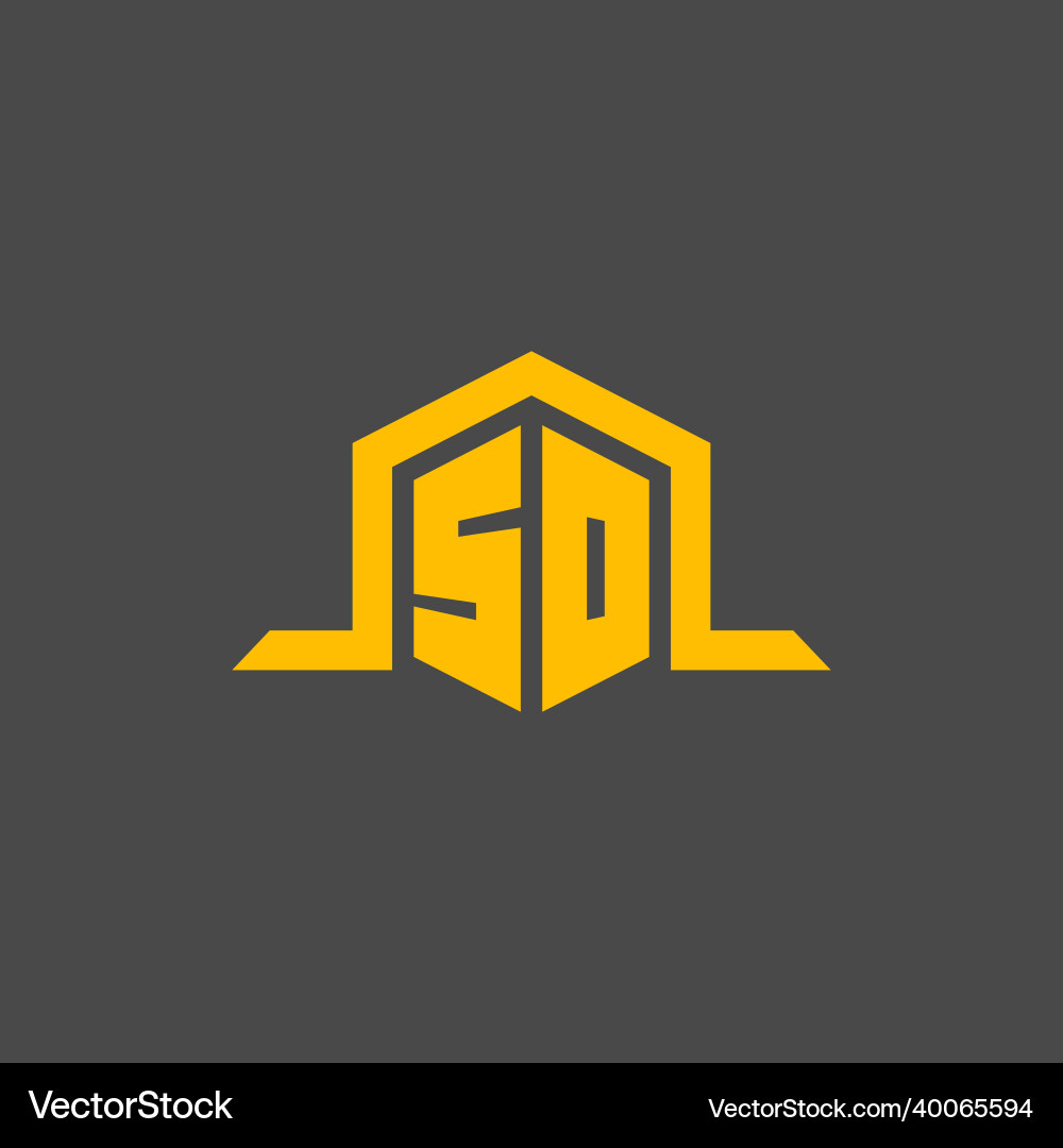 So monogram initial logo with hexagon style design Vector Image