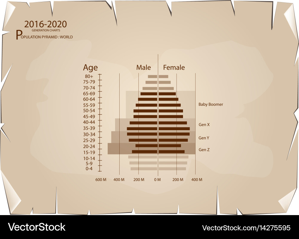 2016-2020 population pyramids graphs with 4 genera Vector Image