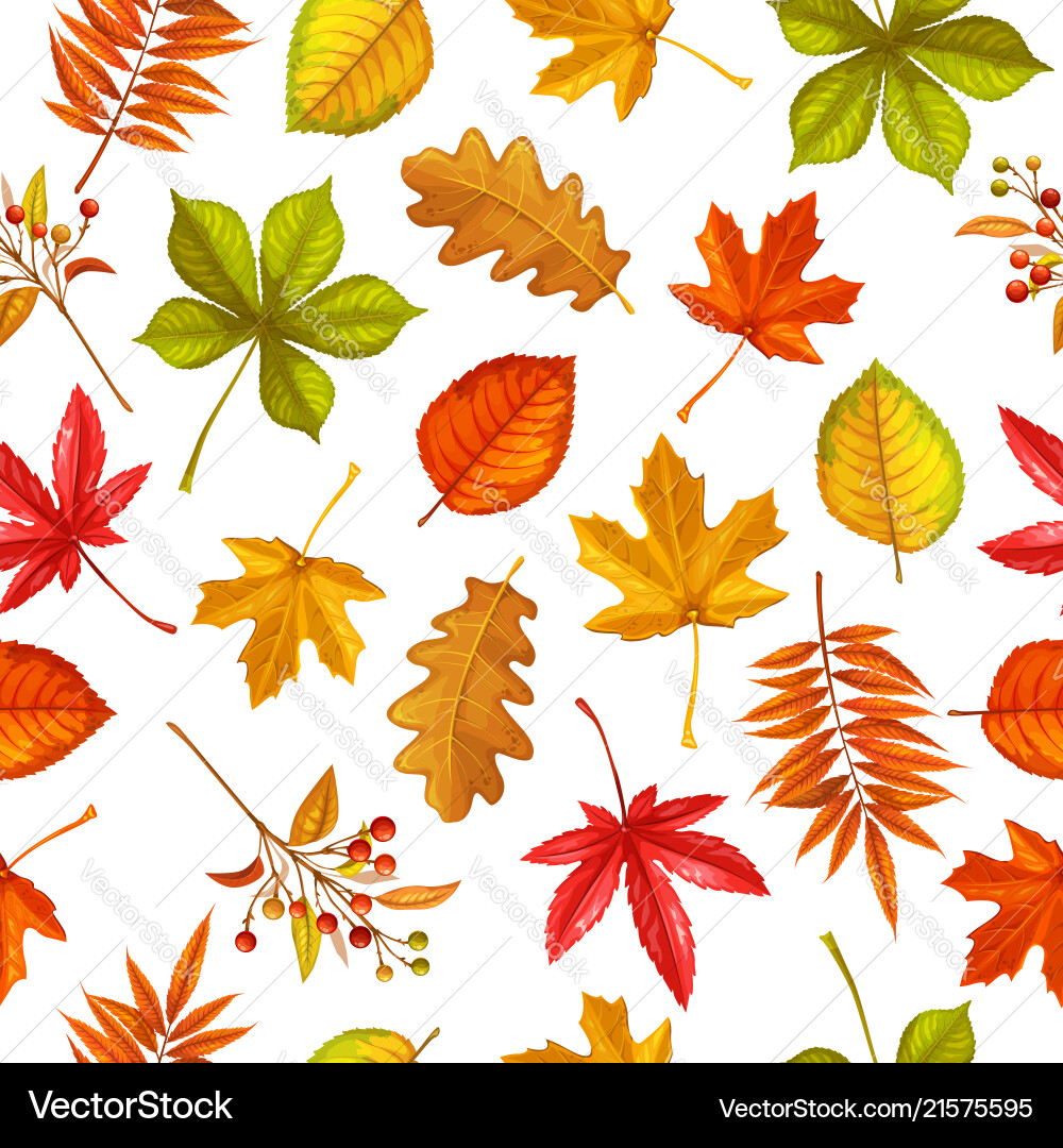 Seamless pattern with autumn leaves Seamless pattern with autumn leaves vector image
