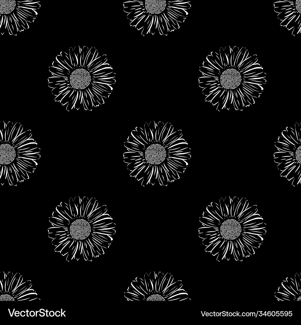 Seamless pattern with chamomiles Vector Image