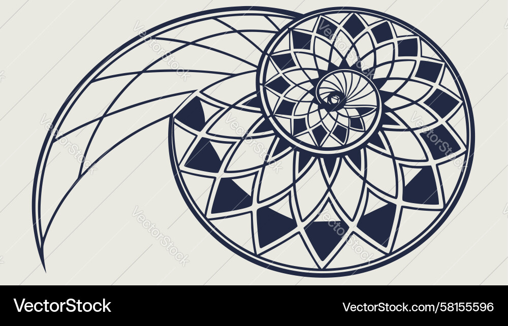 Fibonacci Nautilus Shell Spiral Vector Image