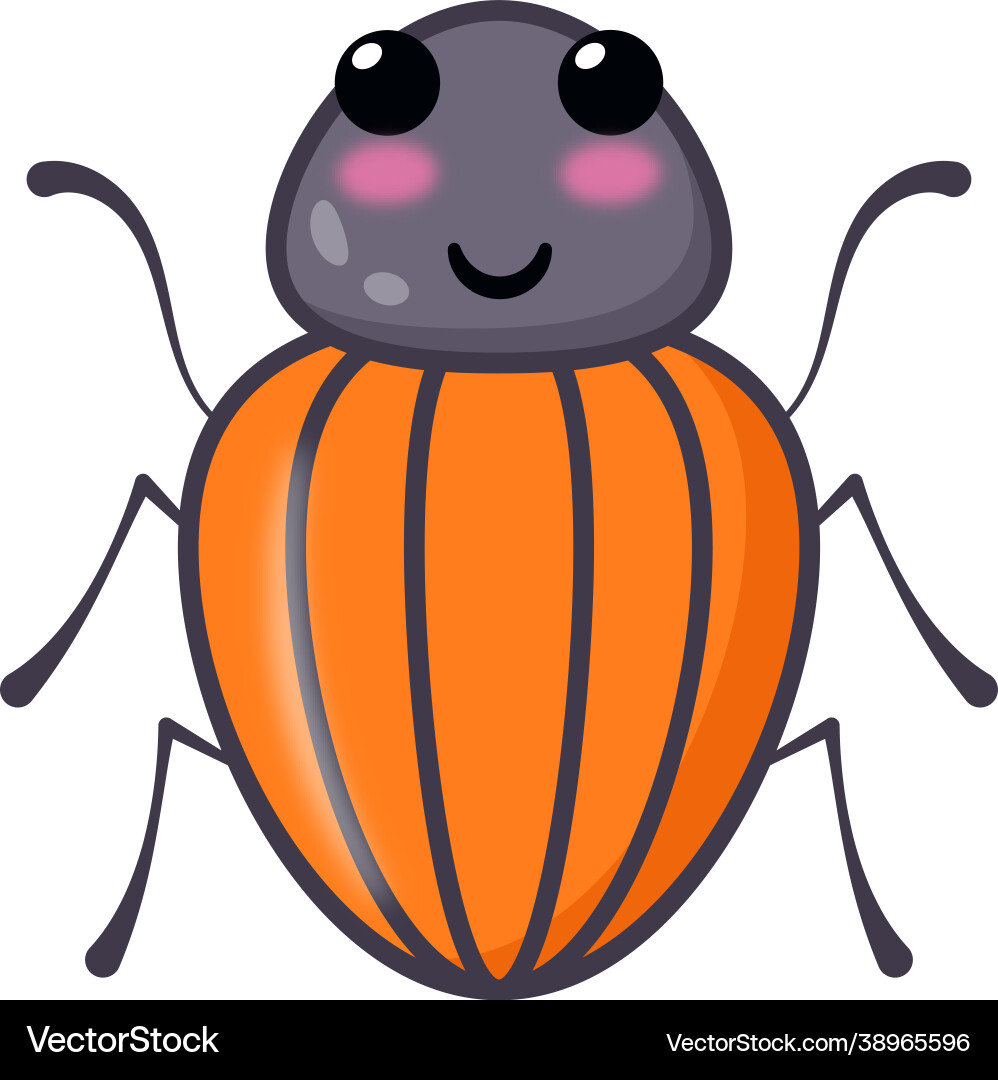 June bug Vector Image