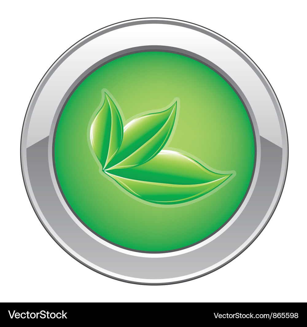Eco web button with leaves Vector Image