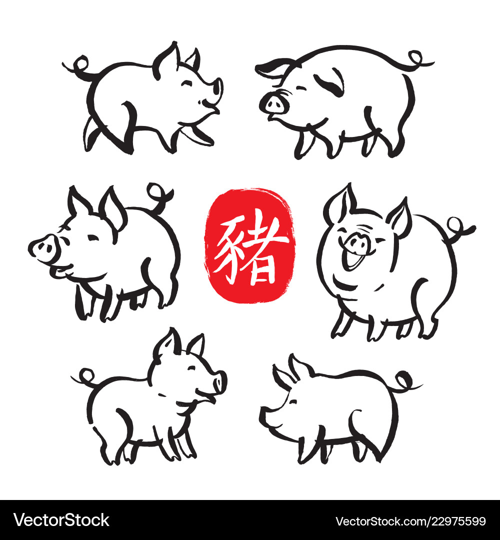 Chinese Zodiac Pig New Year Symbols Vector Image