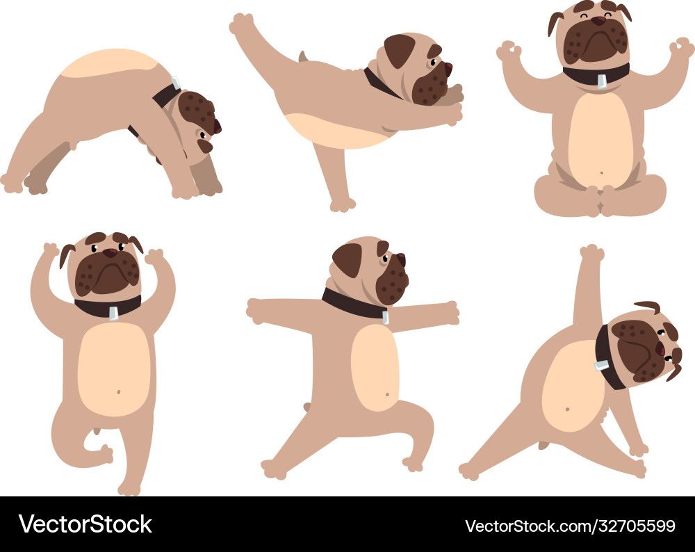 Lustige französische Bulldogge tun Yoga-Set süß Hund Lustige französische Bulldogge tun Yoga-Set süß Hund vektorbild