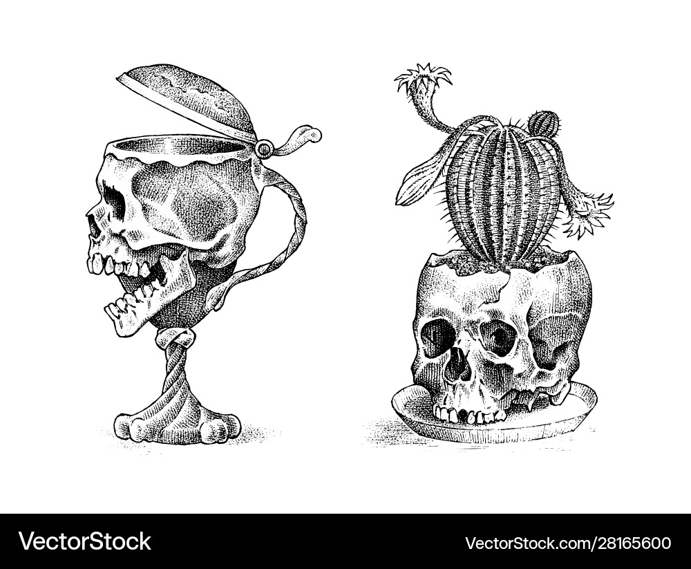 Human skull in form a wine goblet vector image