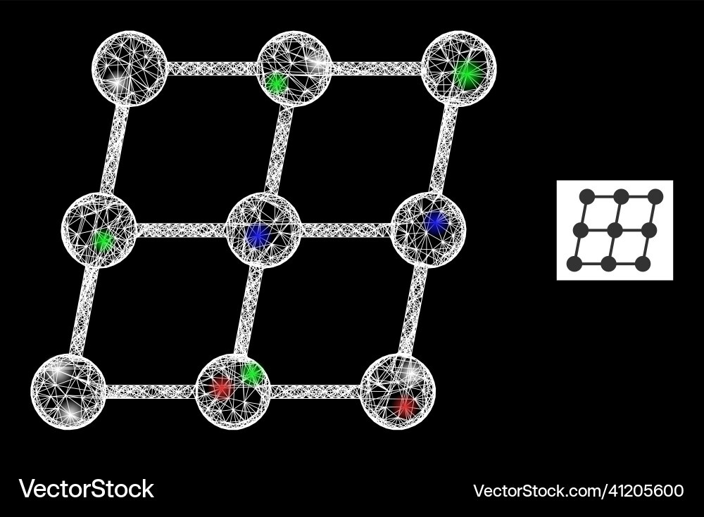 Network web mesh inclined grid nodes icon Vector Image