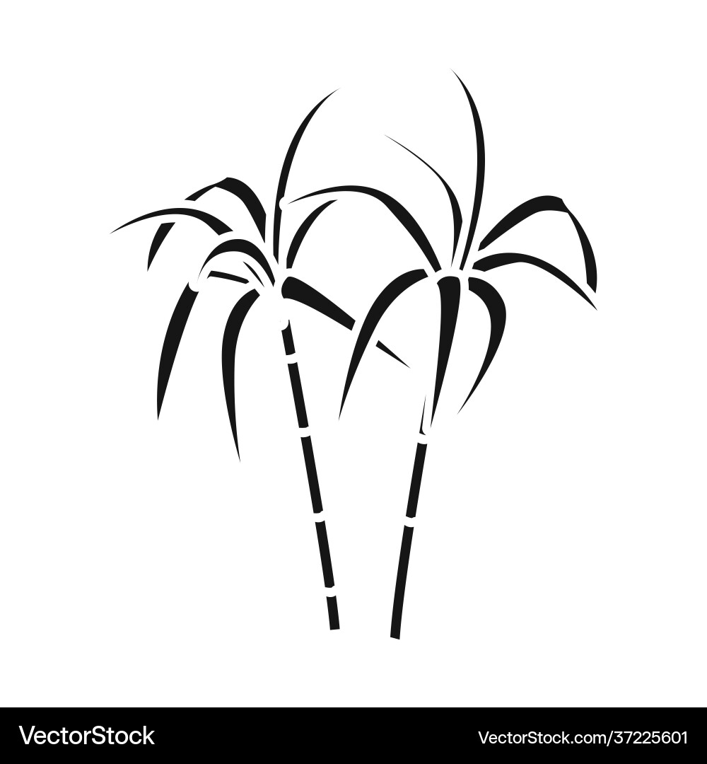 Design palm and cane sign web element Vector Image