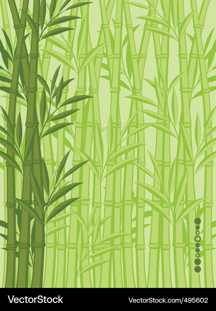 Bamboo Pattern Background Vector Image