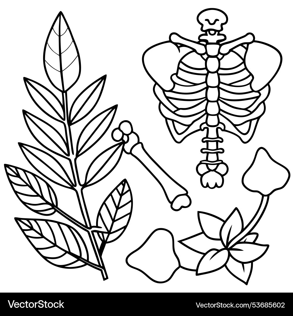 Bones and botany created with ai technology Vector Image