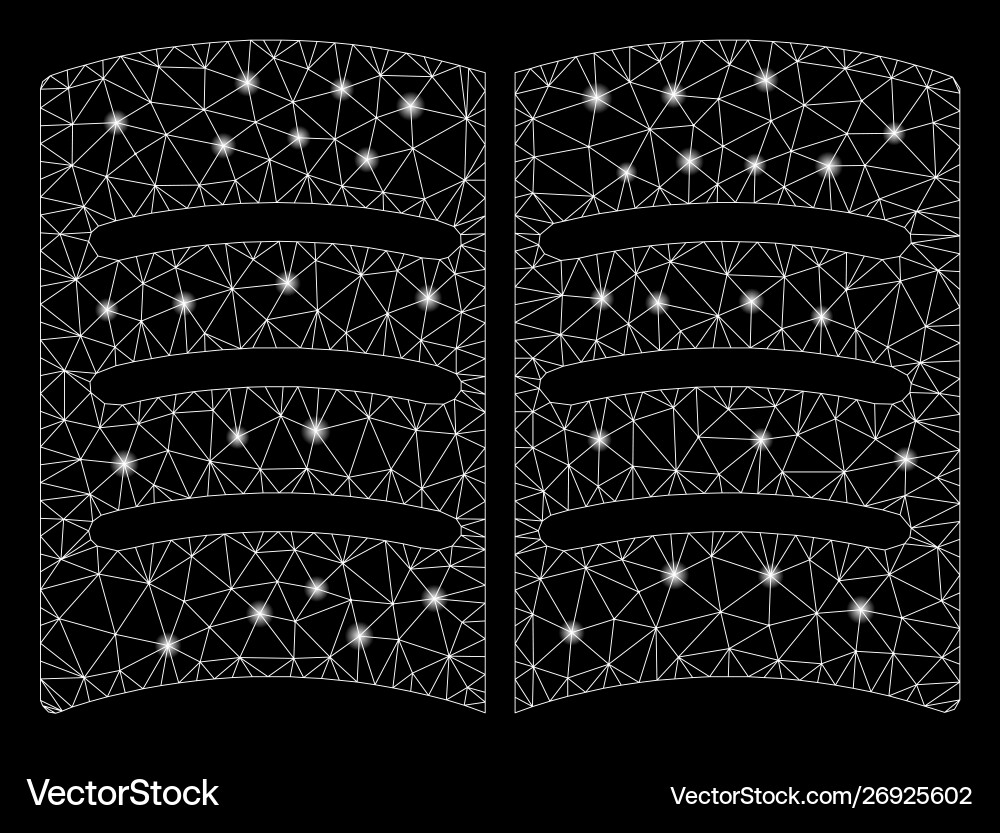 Flare mesh network open book with spots Flare mesh network open book with spots Vector Image