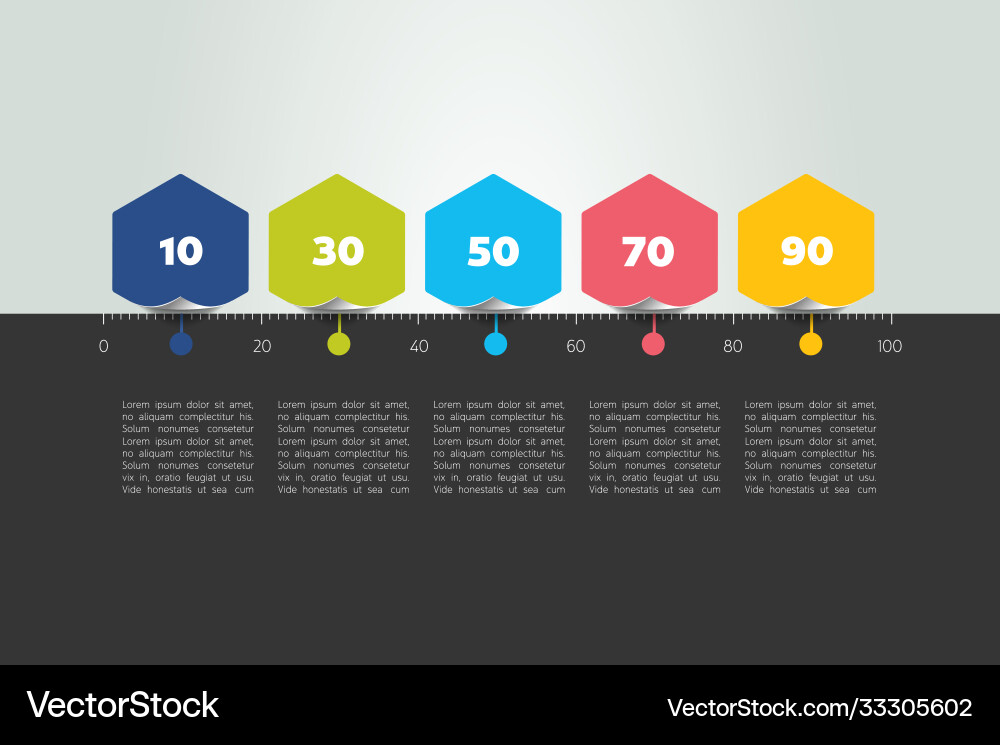 Time line color template horizontal Vector Image