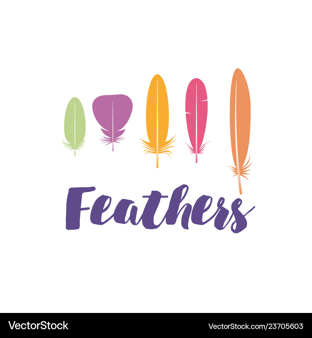 Template with feathers for invitations Template with feathers for invitations Vector Image