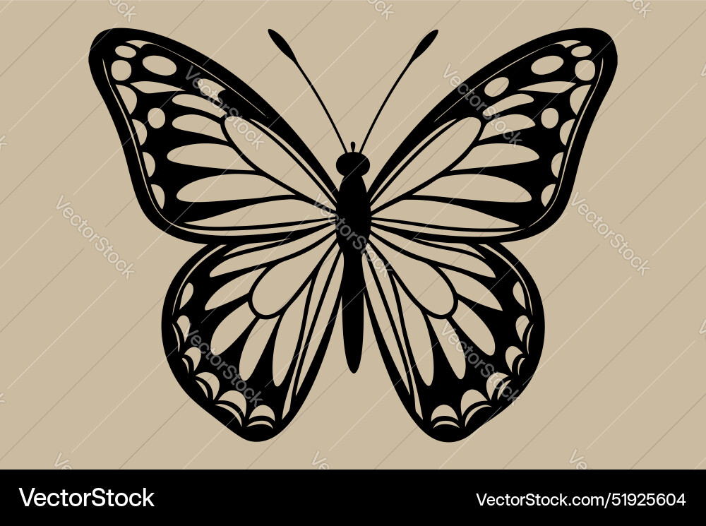A butterfly art Royalty Free Vector Image - VectorStock