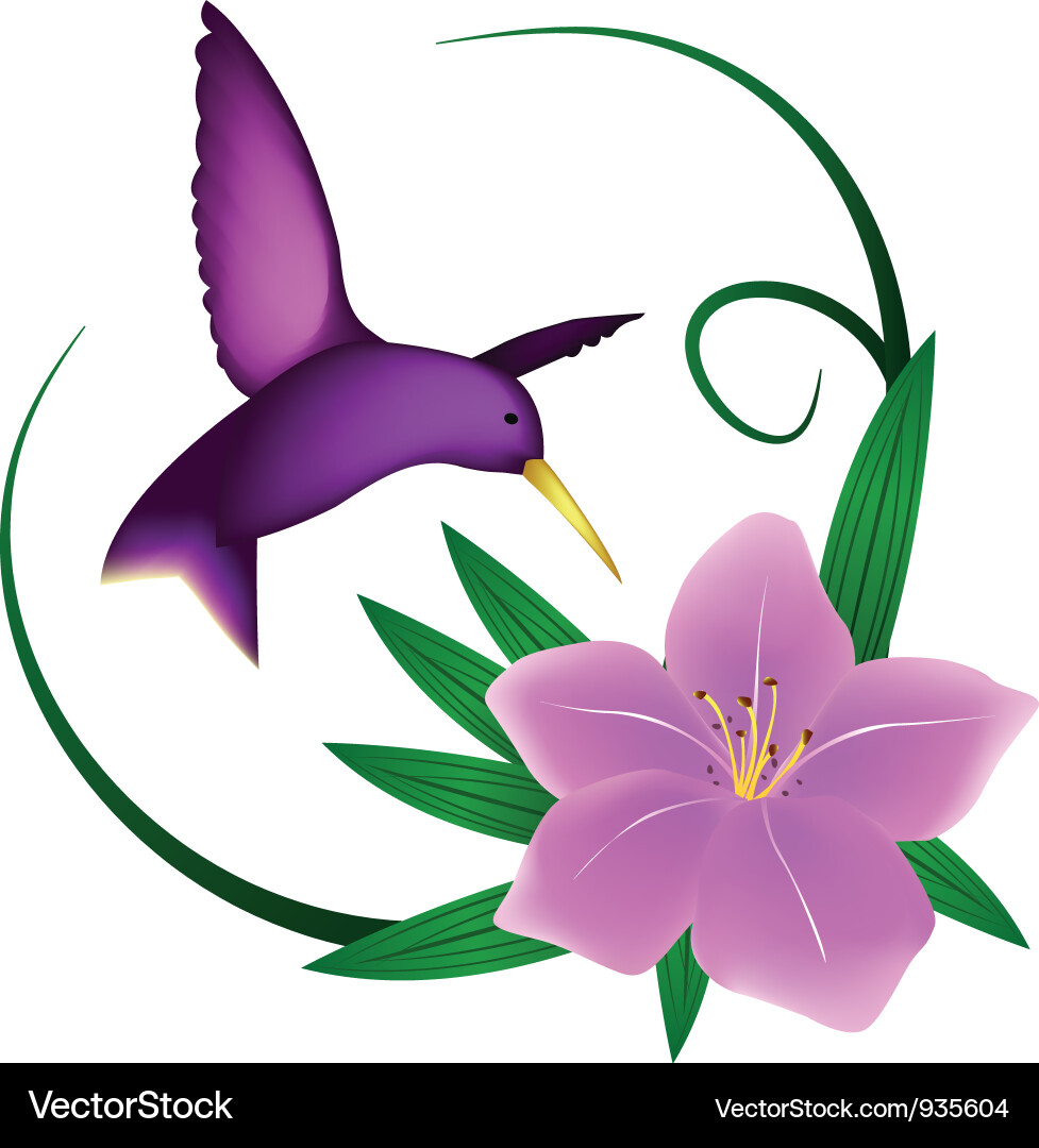 Hummingbird with Lily Flower vector image