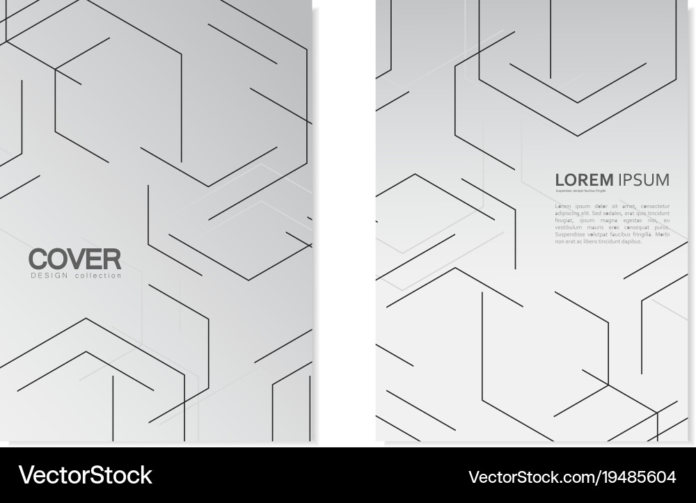 Modern stylish texture with linear hexagonal grid Vector Image