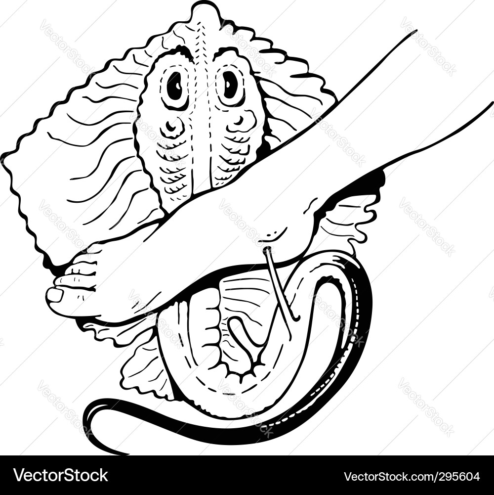 Rays bite Vector Image