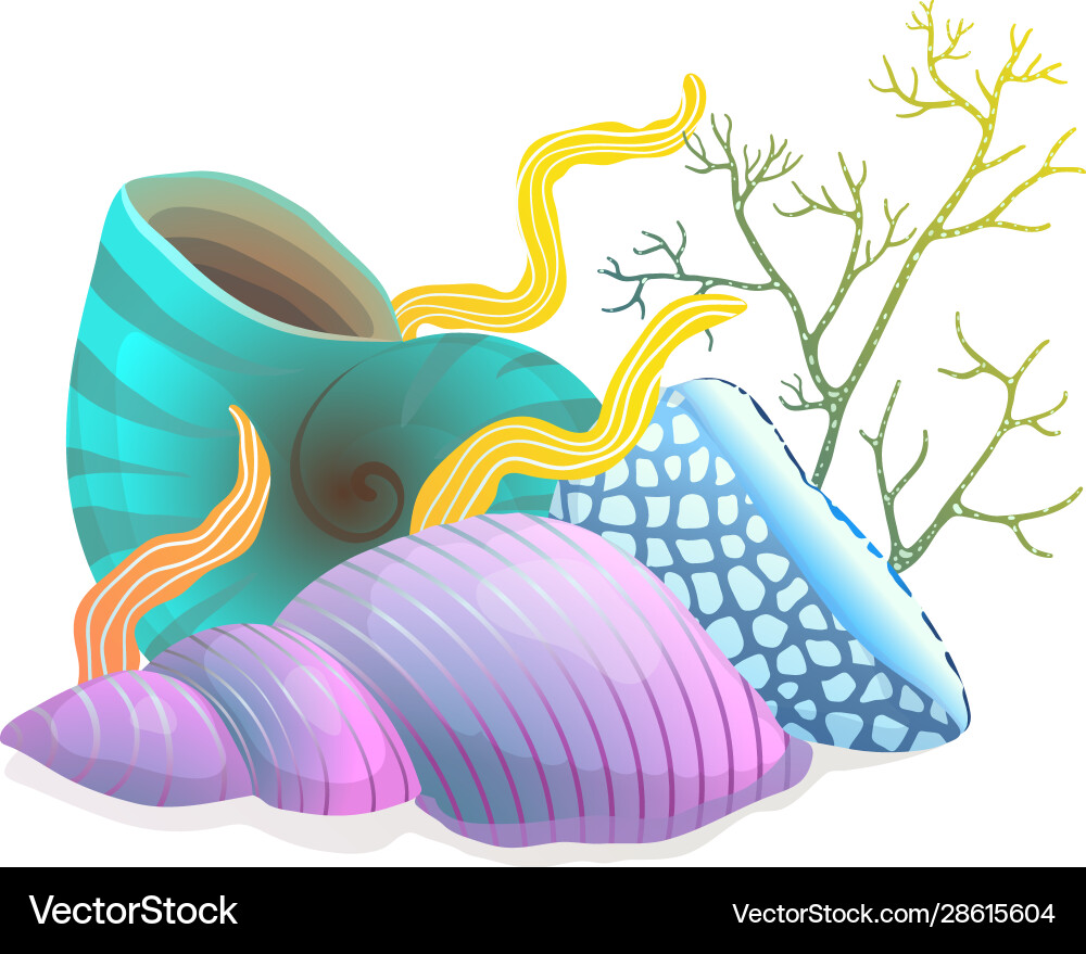 Seashells composition with algae and corals vector image