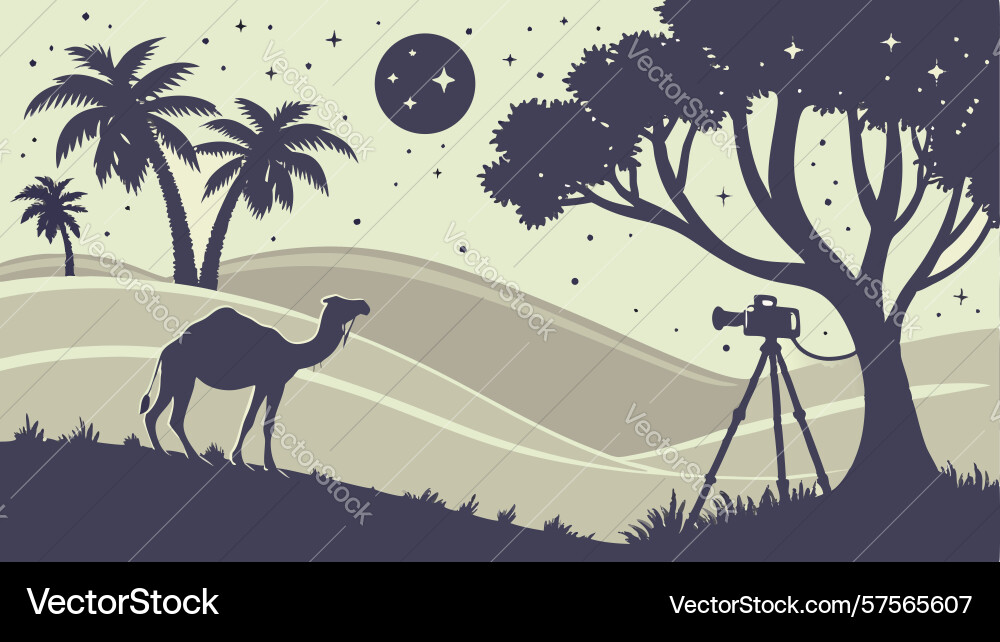 Camera and tripod in a desert with camel moon Vector Image