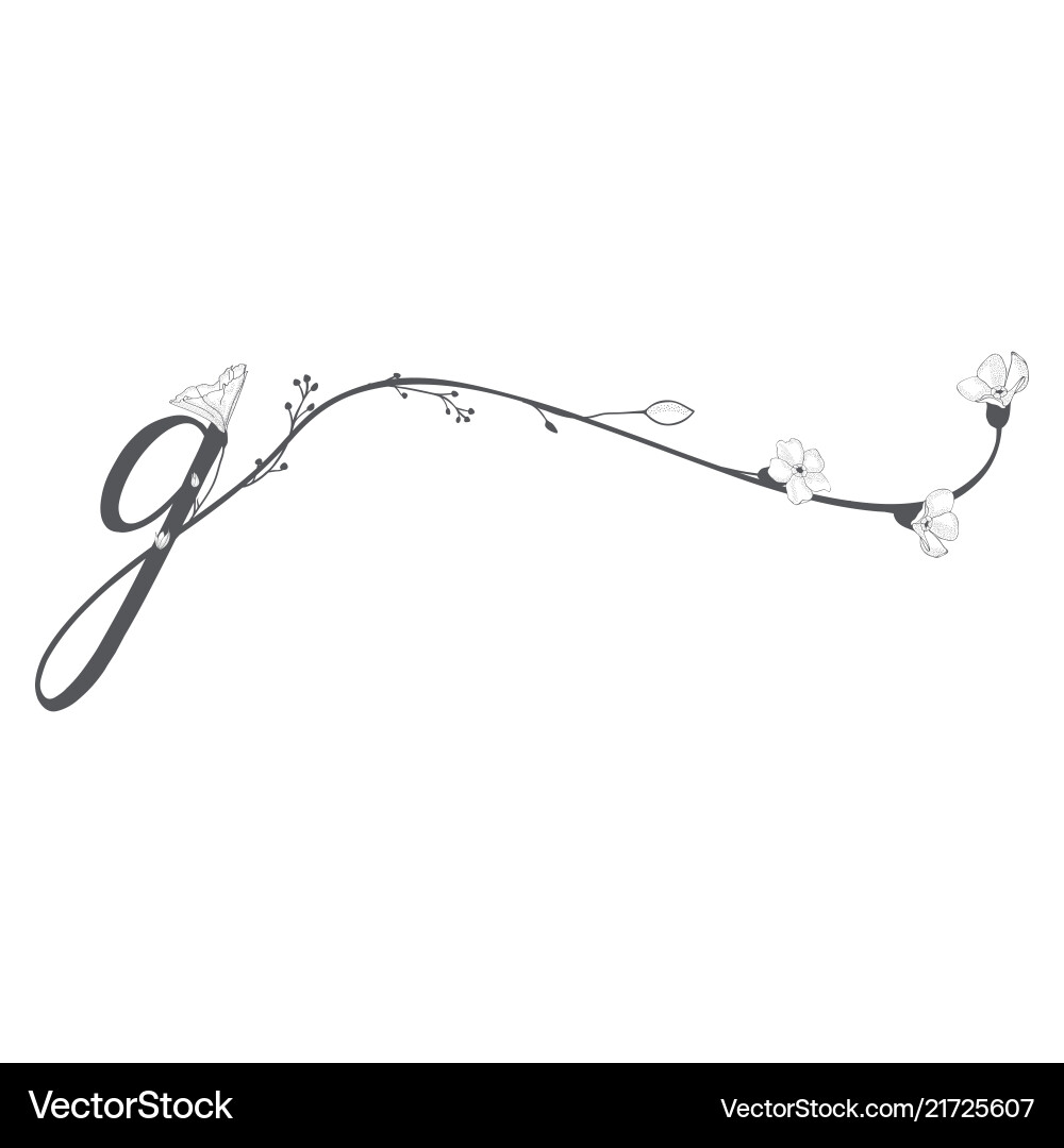 Hand drawn floral g monogram and logo Hand drawn floral g monogram and logo vector image