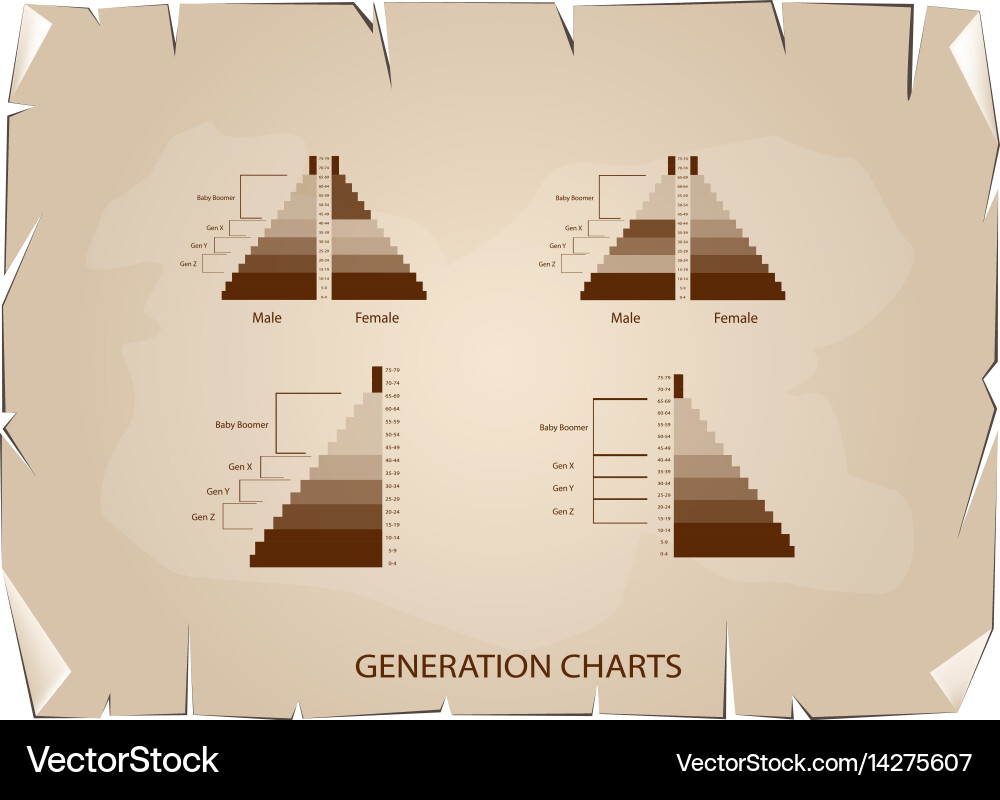 Population pyramids graphs with 4 generation Vector Image