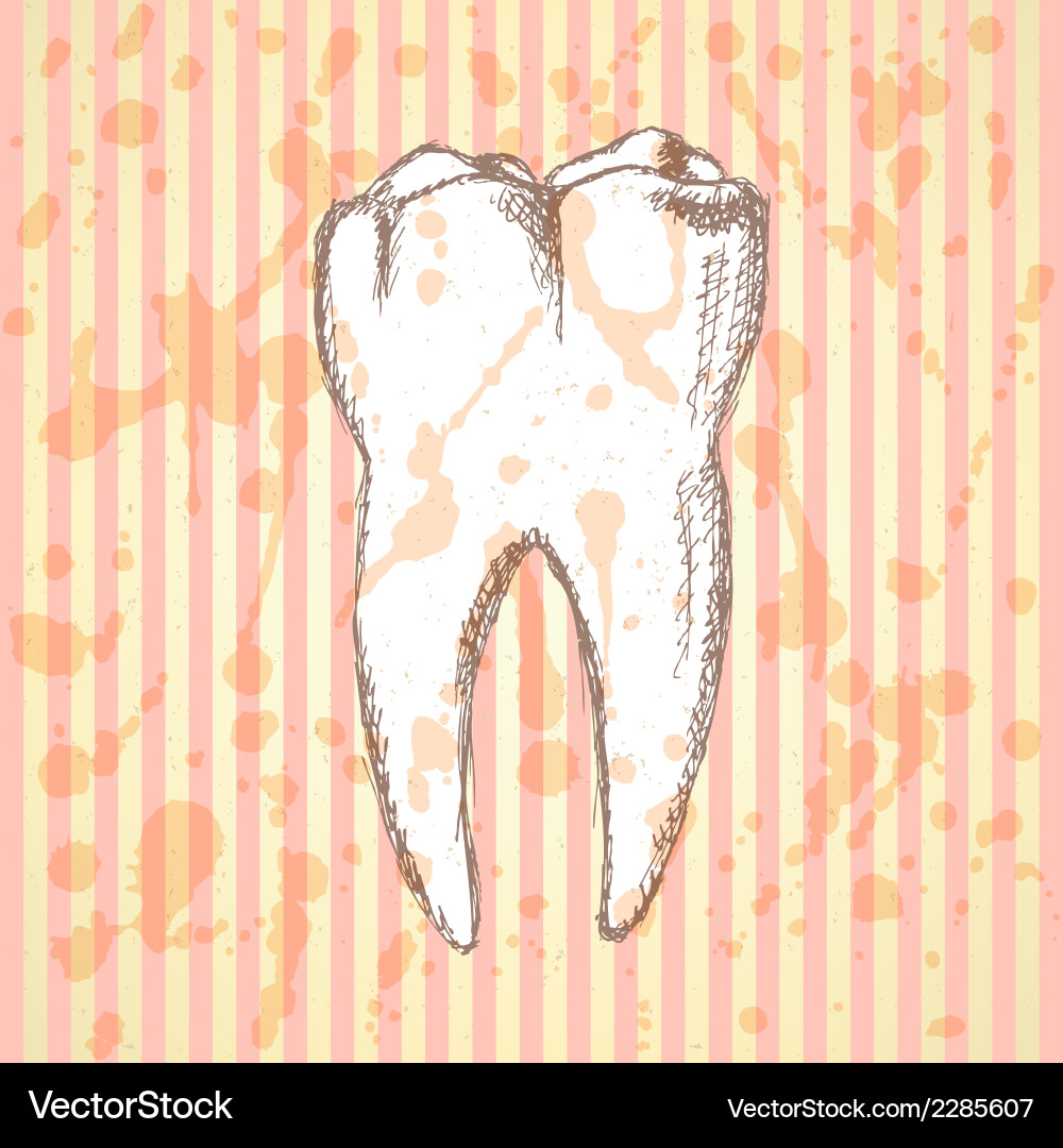 Teeth Vector Image