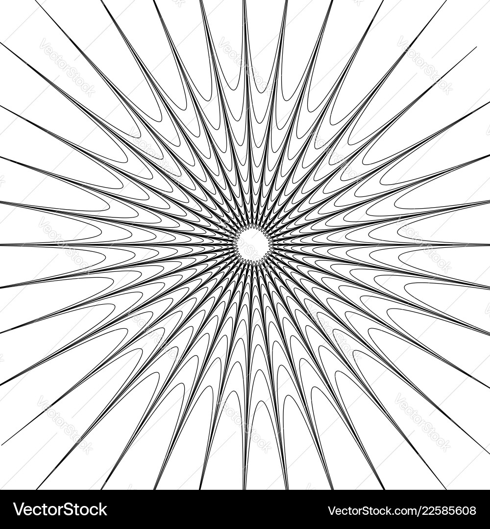 Concentric circular pattern random burst Concentric circular pattern random burst Vector Image