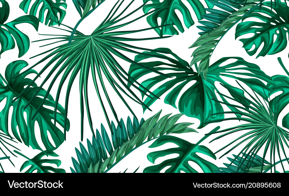 Tropical Leaf Pattern - Summer Vector Image
