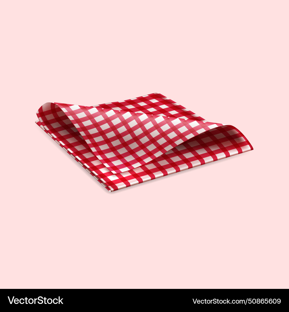 Checkered napkin for table setting Checkered napkin for table setting vector image