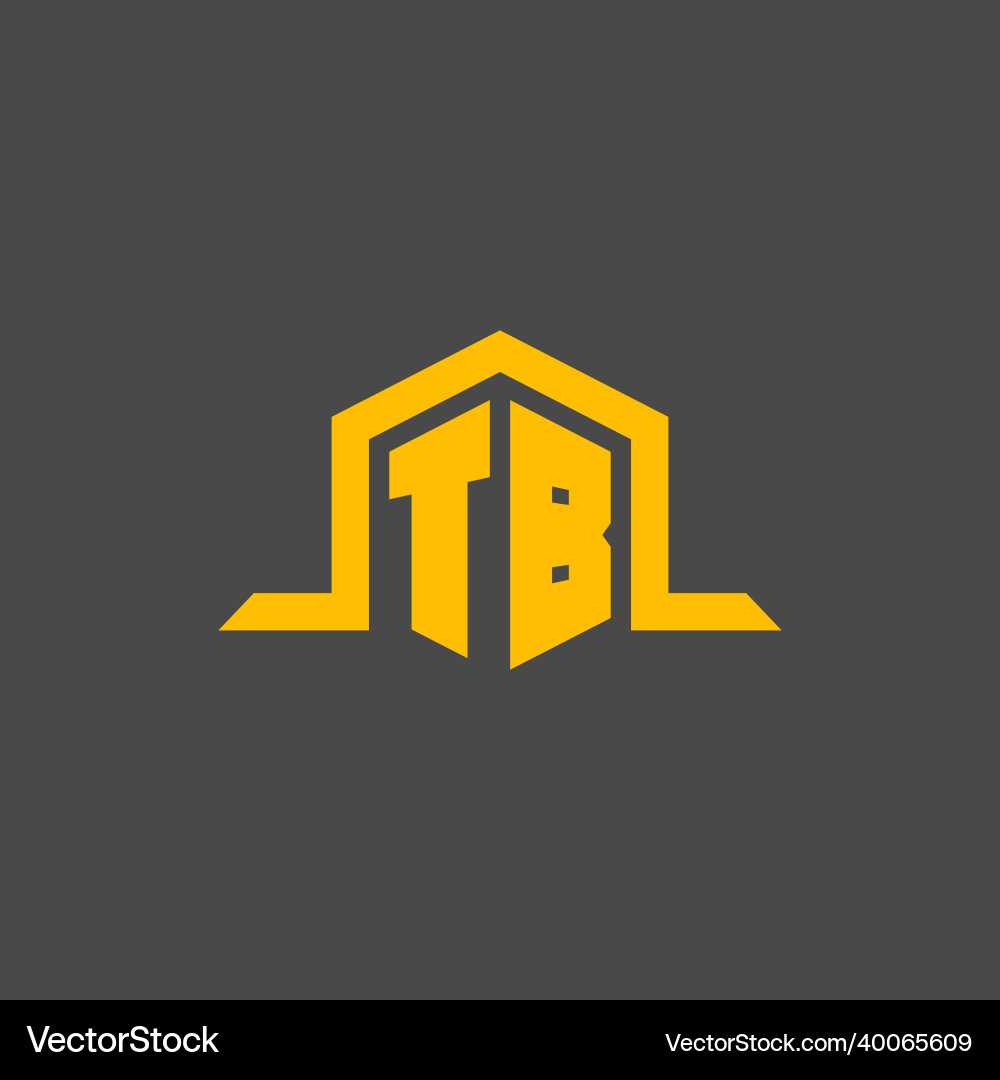 Tb monogram initial logo with hexagon style design Vector Image