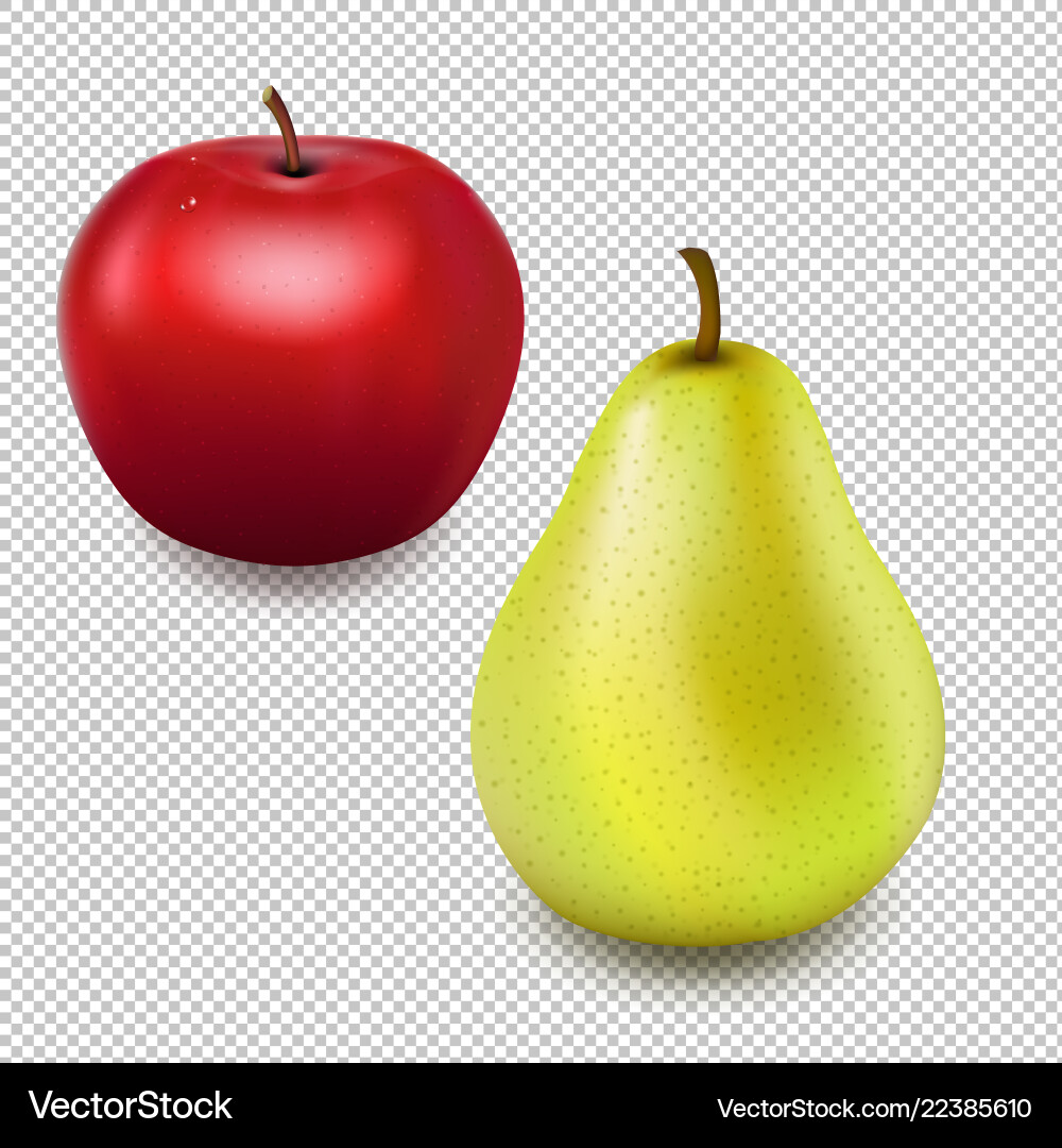 Fresh red apple and pear transparent background Vector Image