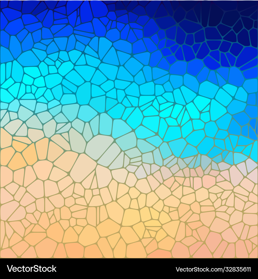 Colored abstract background from seashells Vector Image