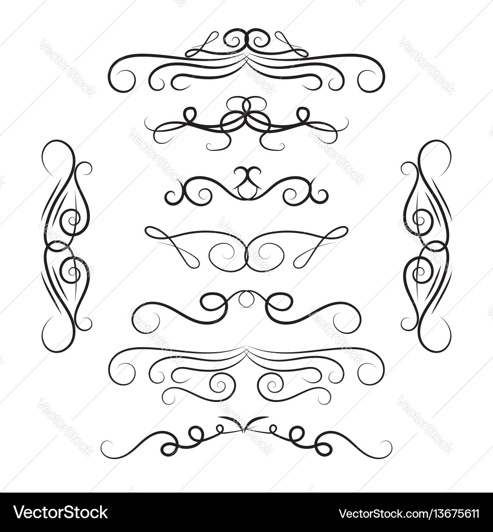 Intricate Swirls & Curls Vector Image