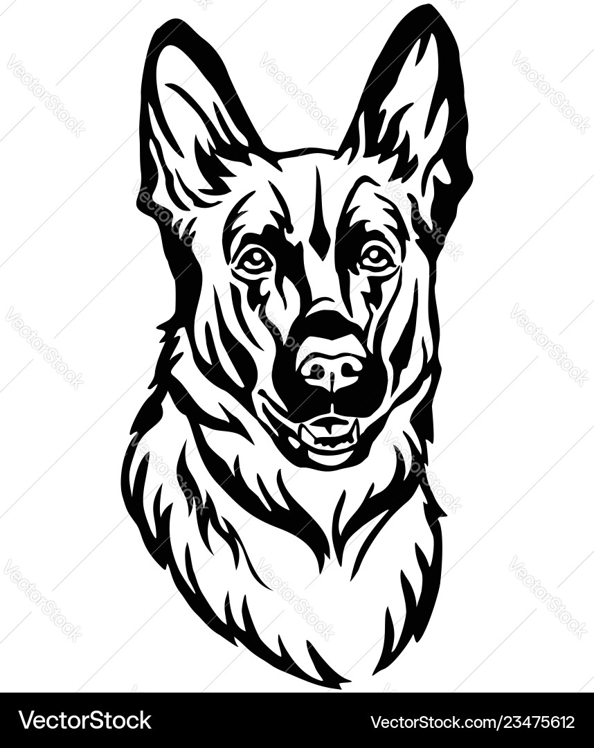 Decorative portrait of dog shepherd Decorative portrait of dog shepherd vector image